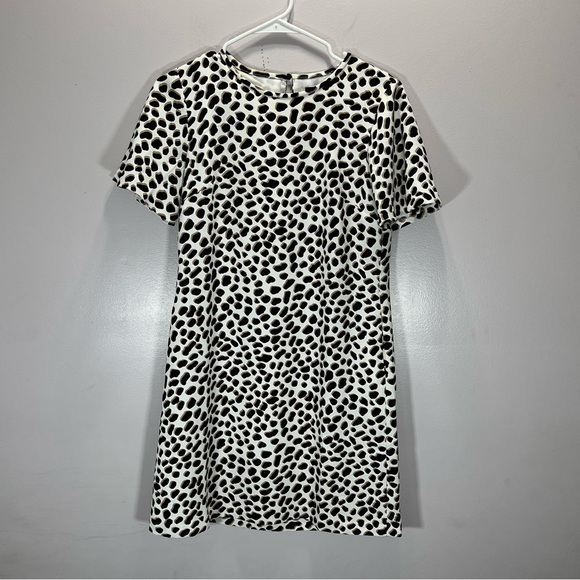 Ann Taylor Women’s Brown White Leopard Animal Print Short Sleeve T Shirt Dress - Picture 3 of 11